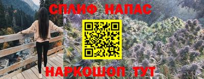 прущие грибы Ликино-Дулёво