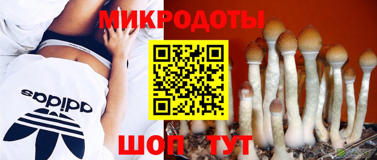 Зеленокумск  Псилоцибиновые грибы мицелий  Вход с VPN 